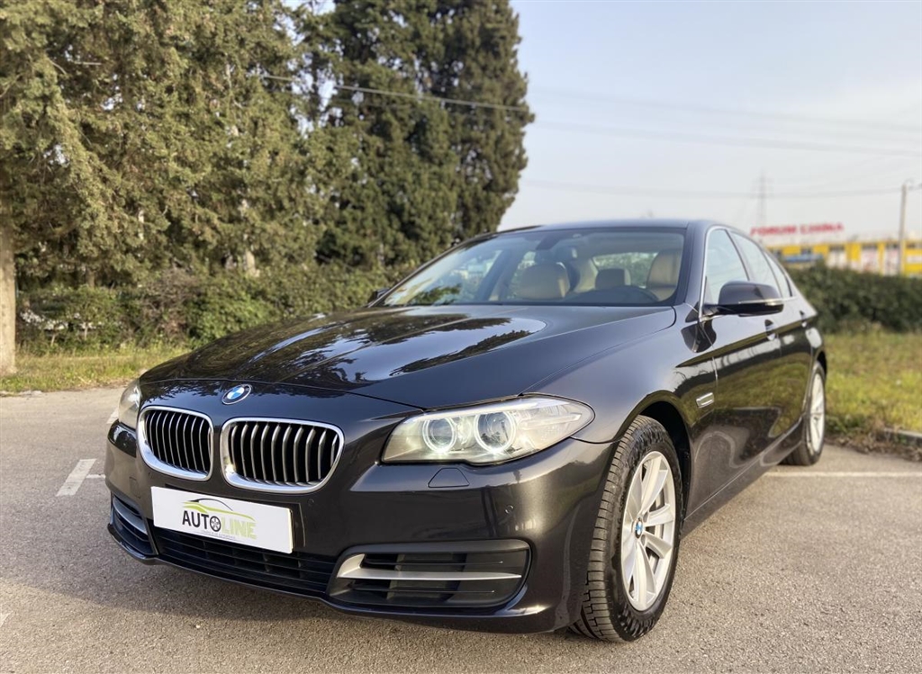 BMW Série 5 520 d Line Luxury