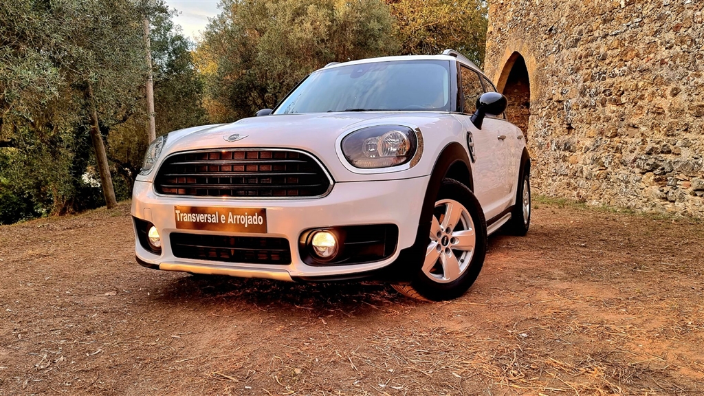 MINI Countryman One D (116cv) (5p)