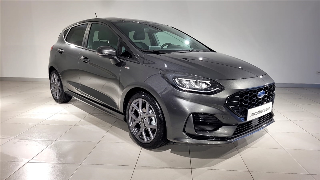 Ford Fiesta 1.0 EcoBoost Active X (100cv) (5p)